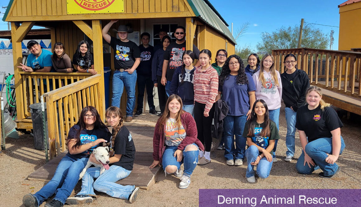 Deming Animal Rescue Grant Recipient