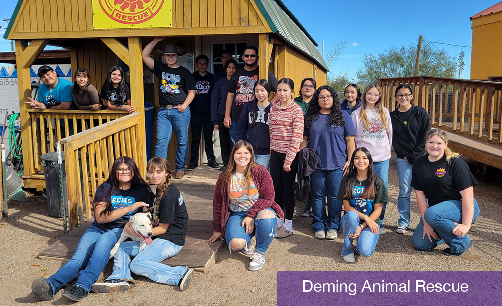 GCF Awards $214,000 Southline Grants